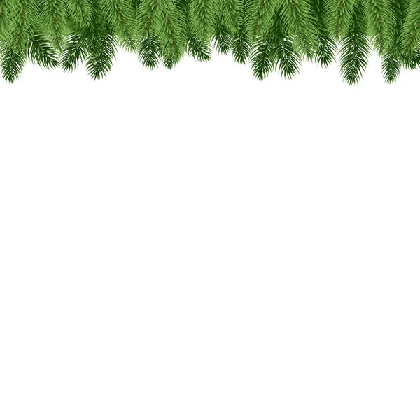 Fir Tree Branch Grens Vectorillustratie — Stockvector