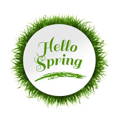 Bahar poster çim sınır, vektör, illüstrasyon 