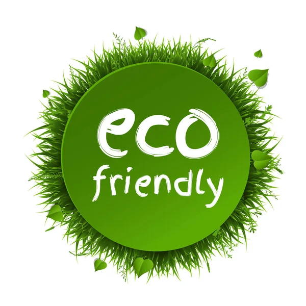 Cartaz Com Borda Grama Texto Eco Friendly Vetor Ilustração — Vetor de Stock