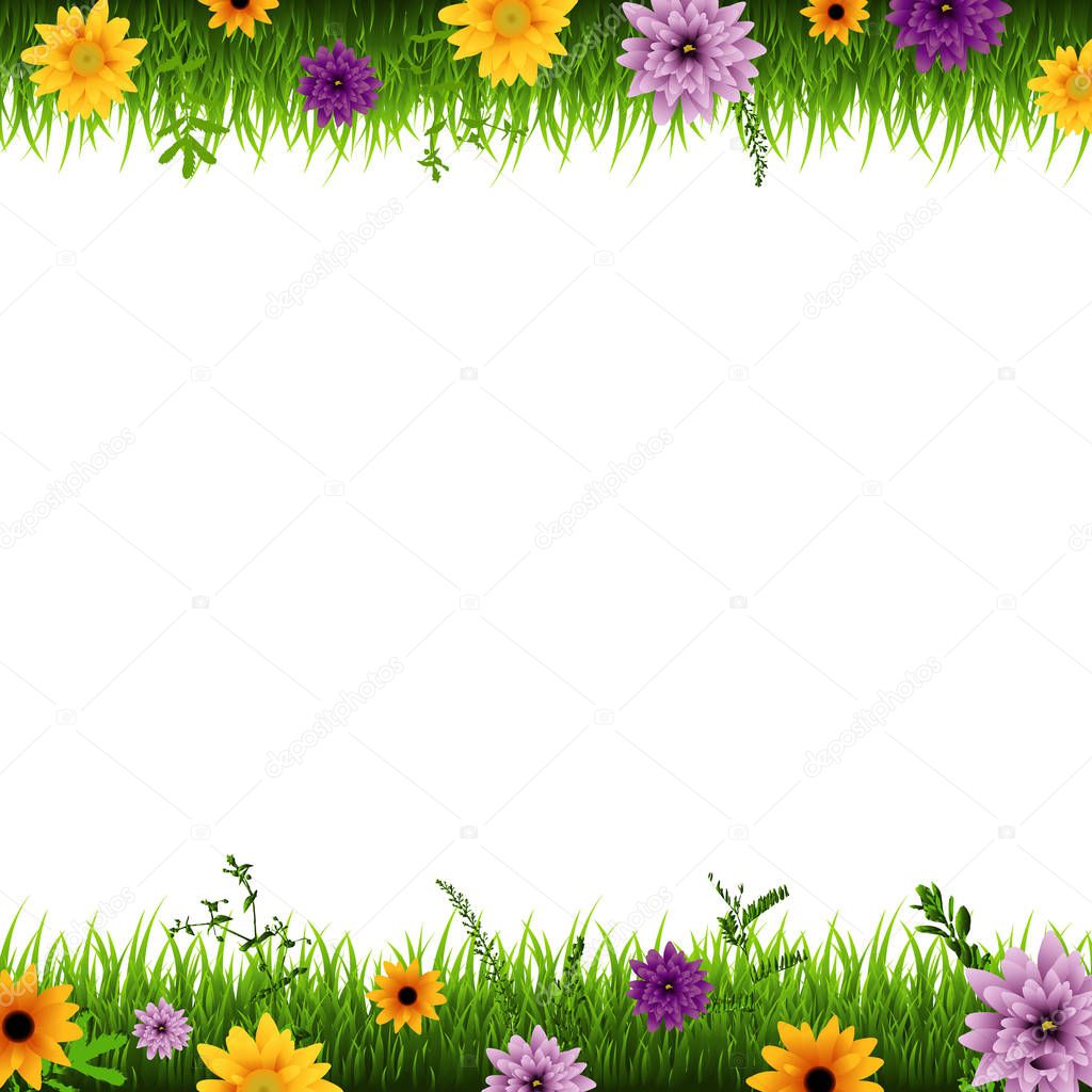 spring poster with grass and flowers borders, vector, illustration