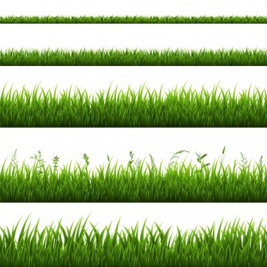 Dizi yeşil çim sınırları, vektör, illüstrasyon