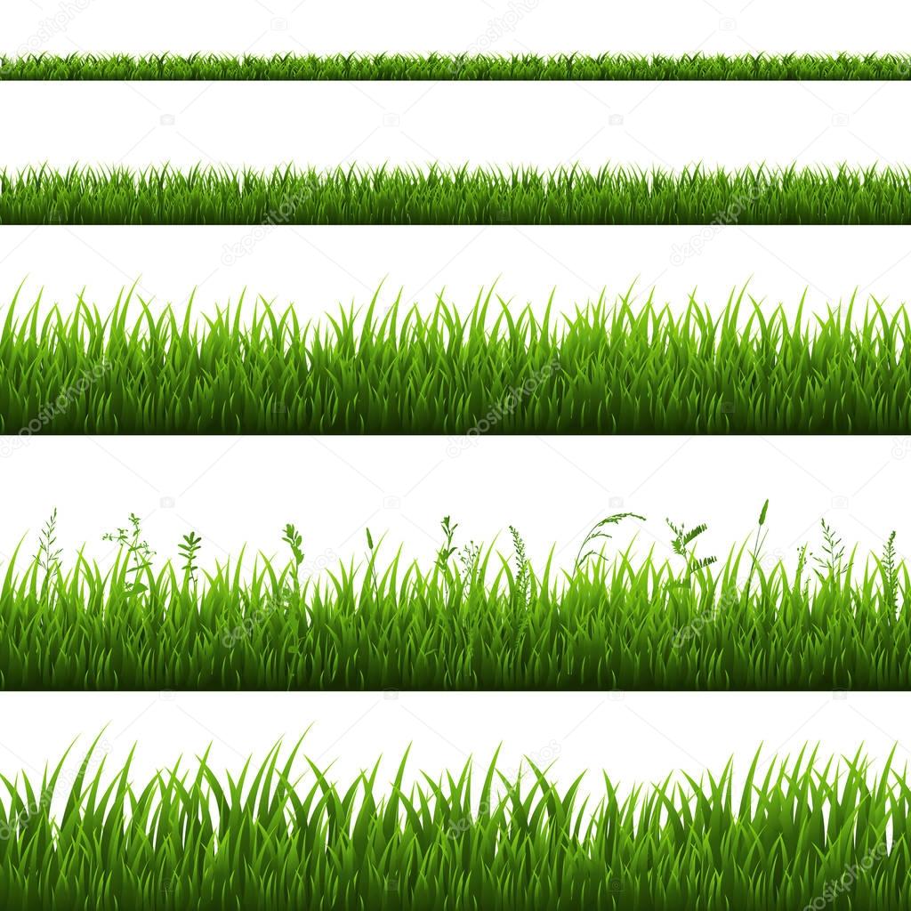 set of green grass Borders, vector, illustration