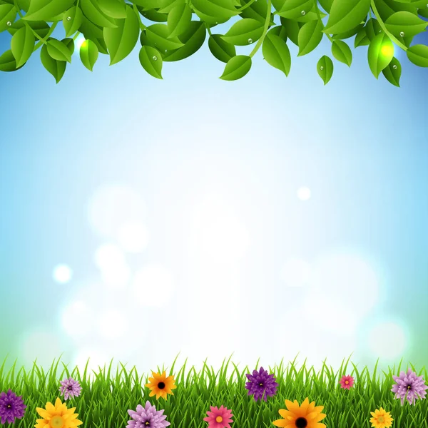 Banner Primavera Con Hojas Verdes Hierba — Vector de stock