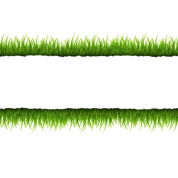 白い背景の上の草と紙をリッピング — ストックベクタ