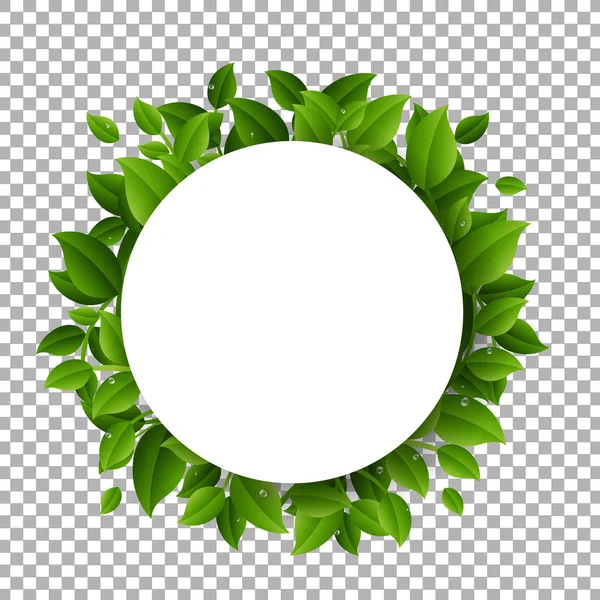Middleac の白い円で緑の葉のフレーム — ストックベクタ