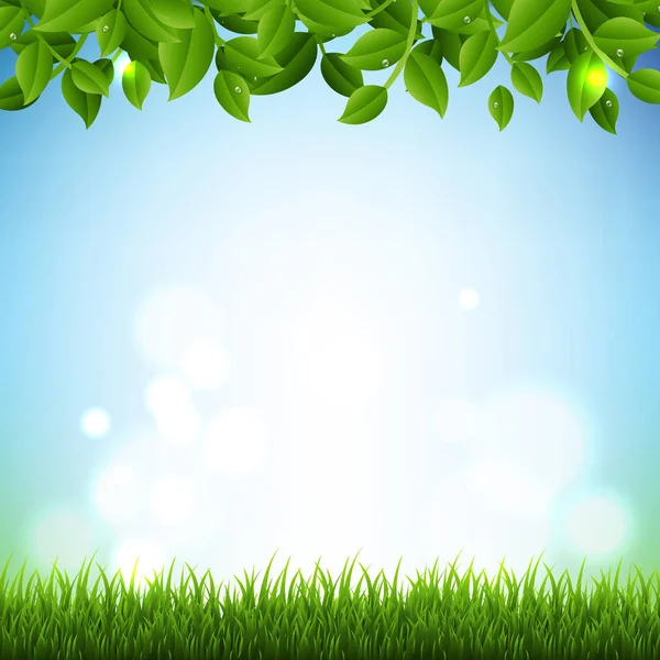 Frühlingsbanner Mit Grünen Blättern Und Gras — Stockvektor