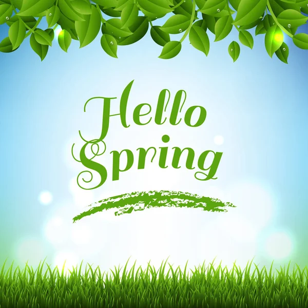 緑の葉と草灯の青色の背景にレタリングこんにちは春 — ストックベクタ
