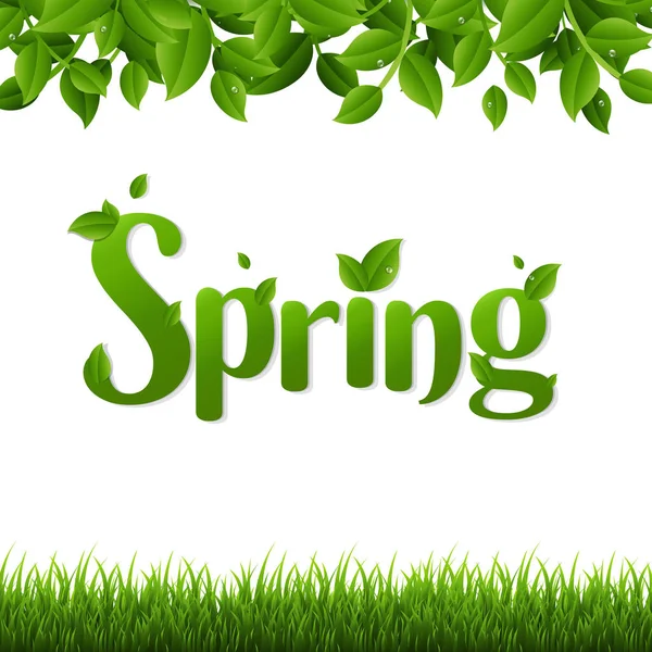 Belettering Voorjaar Met Groene Bladeren Gras Witte Achtergrond — Stockvector