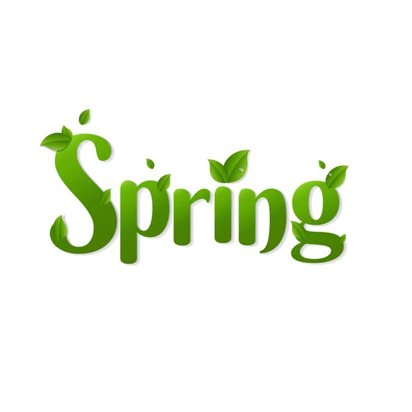 Letras Primavera Con Hojas Verdes Sobre Fondo Blanco — Vector de stock