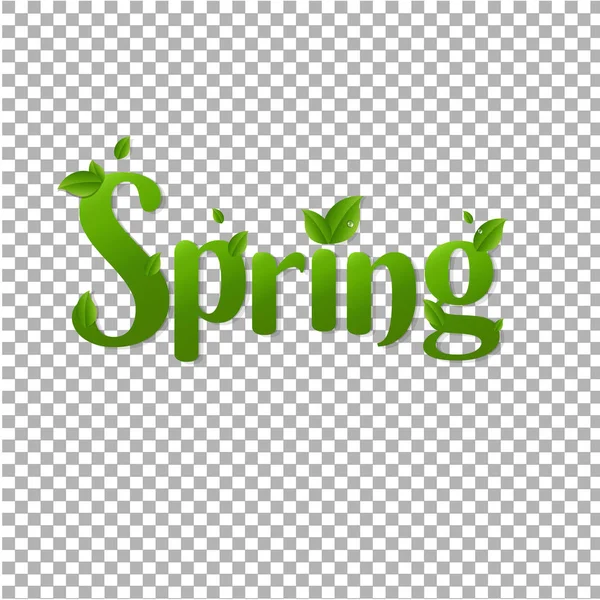 Letras Primavera Con Hojas Sobre Fondo Transparente — Vector de stock