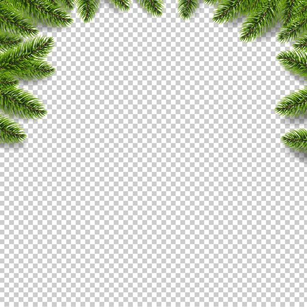 Green Fir Tree Border Isolated Transparent Background — Stock Vector