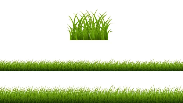 Erba verde isolato sfondo bianco — Vettoriale Stock