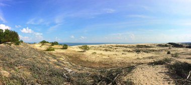 Çöl dune denizin kenarında