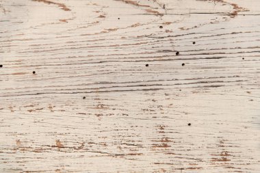 Eski ahşabın hafif dokusu. Böceklerin sürdüğü eski bir tahtanın dokusu