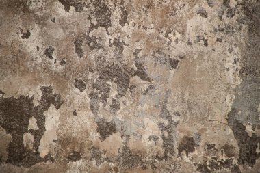 Eski gri duvarın dokusu. Eski gri alçı dokusu. Eski gri alçının arkaplanı. 