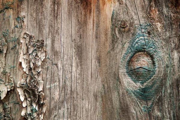 Abstrakce Dřevěné Textury Smaragdovou Barvou — Stock fotografie