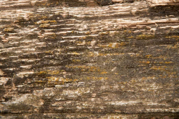 Alte Verwitterte Holzstruktur Altes Dreckiges Holz Abstrakte Textur Abstrakter Hintergrund — Stockfoto