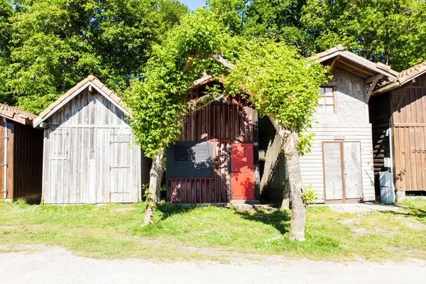 Casas de madera de colores cerca de árboles —  Fotos de Stock