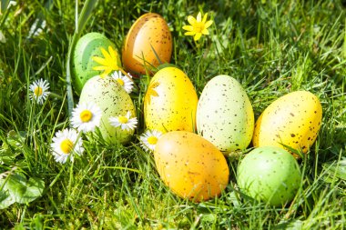 otların arasında gizli renkli Paskalya yumurtaları
