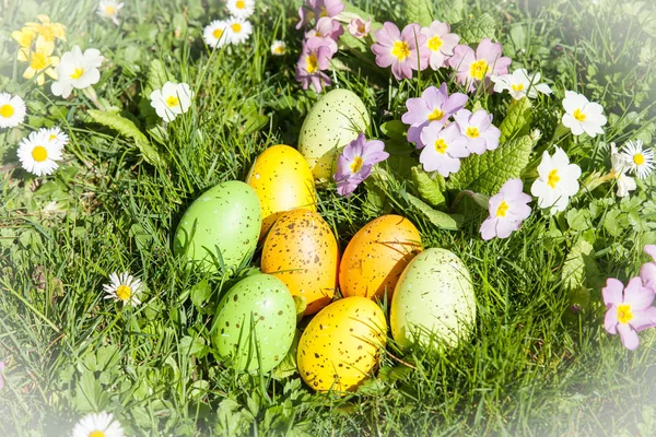 Huevos de Pascua de colores ocultos en la hierba — Foto de Stock