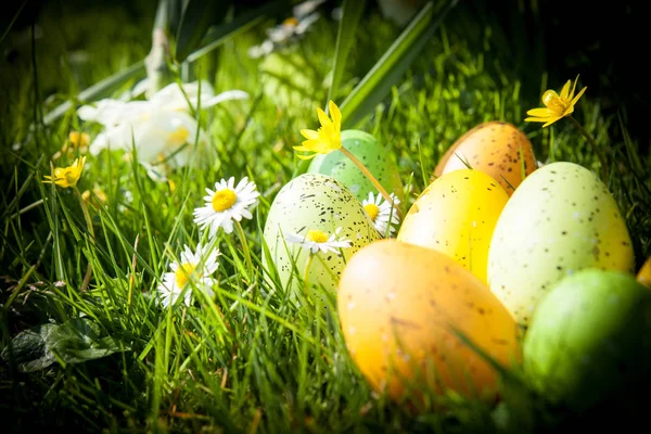 Huevos de Pascua de colores ocultos en la hierba — Foto de Stock
