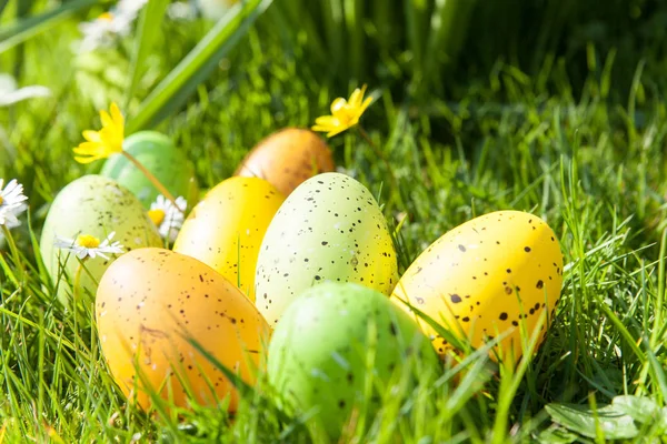 Huevos de Pascua de colores ocultos en la hierba — Foto de Stock