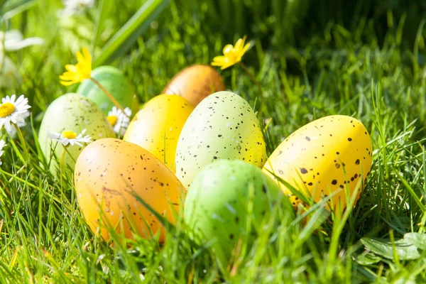 Huevos Pascua Colores Hierba Verde Flores — Foto de Stock