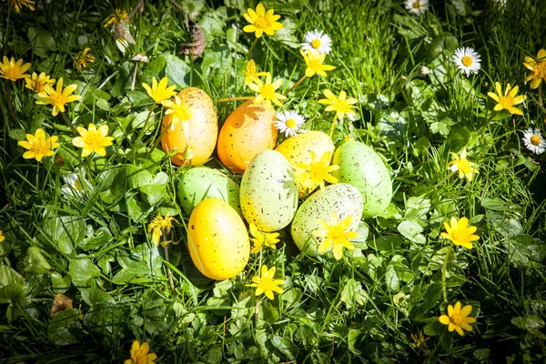 Yeşil Çim Çiçek Renkli Paskalya Yumurtaları — Stok fotoğraf