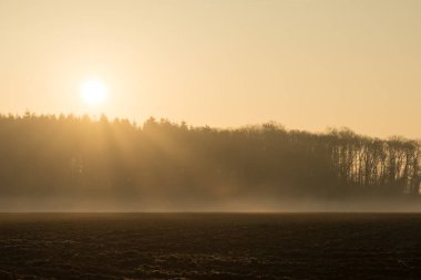 güzel bir ülke yatay, sabah sis 