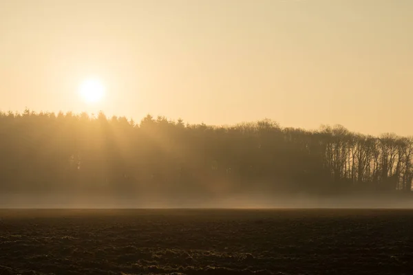 Krásná Venkovská Krajina Ranní Mlhy — Stock fotografie