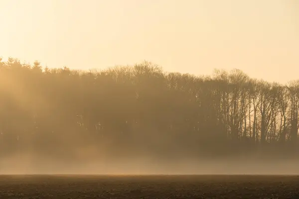 Bela Paisagem Rural Com Névoa Matinal — Fotografia de Stock