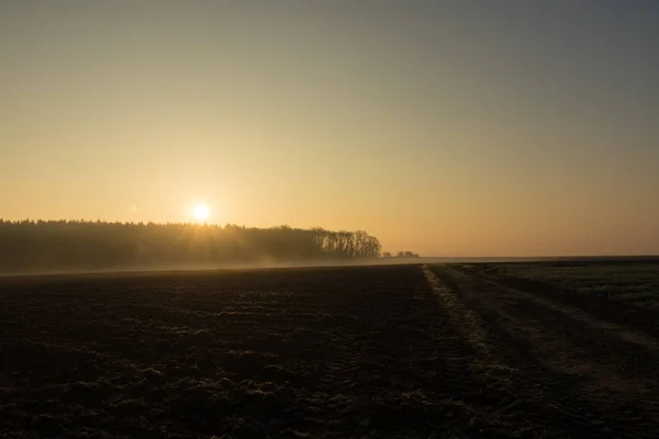 Красивий Заміський Пейзаж Ранковим Туманом — стокове фото