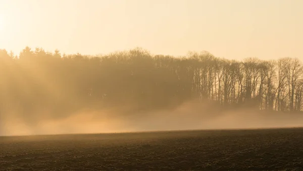 Όμορφη Χώρα Τοπίο Ομίχλη Πρωί — Φωτογραφία Αρχείου