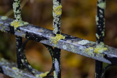 Eski paslı demir bir kapının ayrıntıları.