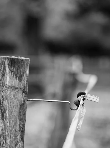 Detalle de una cerca eléctrica para caballos en blanco y negro —  Fotos de Stock