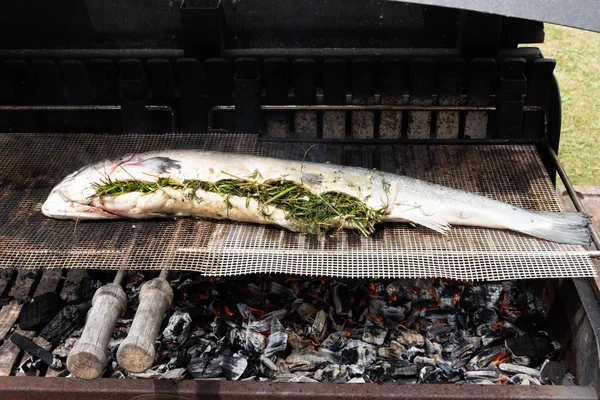 Salmón relleno de hierbas a la parrilla en la barbacoa —  Fotos de Stock