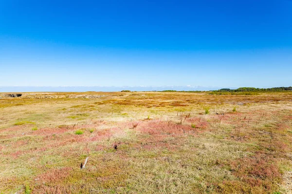 Moor Heath av Wild Coast på ön Belle Ile en mer i t — Stockfoto