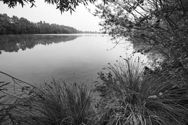 Lagoa Selvagem Cercada Por Florestas Pretas Brancas — Fotografia de Stock