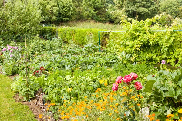 Grazioso Piccolo Giardino Fiorito Campagna Pieno Varie Verdure Sotto Sole — Foto Stock