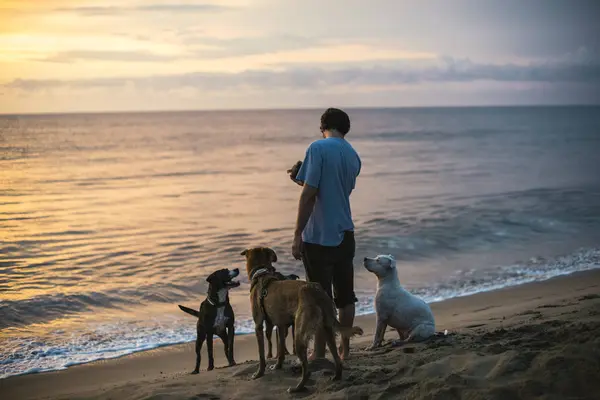 Hombre Parado Orilla Del Mar Con Una Jauría Tres Perros —  Fotos de Stock
