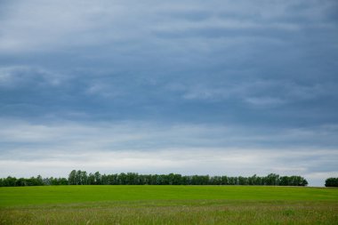 Estonya kırsal manzara.