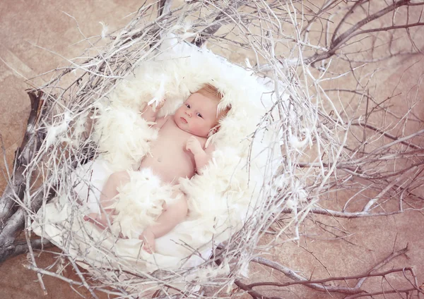 Newborn baby with white feather in nest. Portrait of adorable ne — Stock Photo, Image