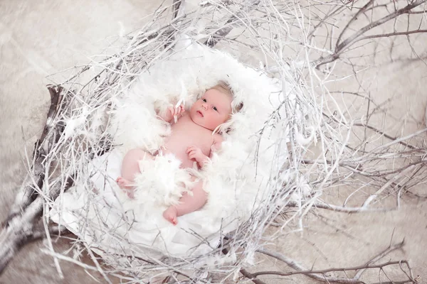 Nouveau-né avec plume blanche dans le nid. Portrait de l'adorable ne — Photo