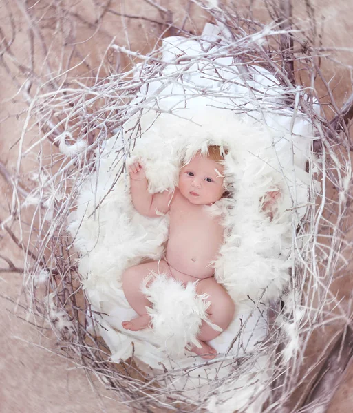 Bebé recién nacido con plumas blancas en el nido. Retrato de adorable ne —  Fotos de Stock