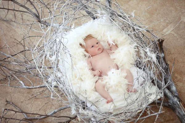 Bebé recién nacido con plumas blancas en el nido. Retrato de adorable ne —  Fotos de Stock