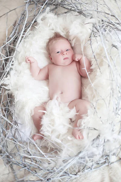 Bebé recién nacido divertido con plumas blancas en el nido. Retrato de adora —  Fotos de Stock