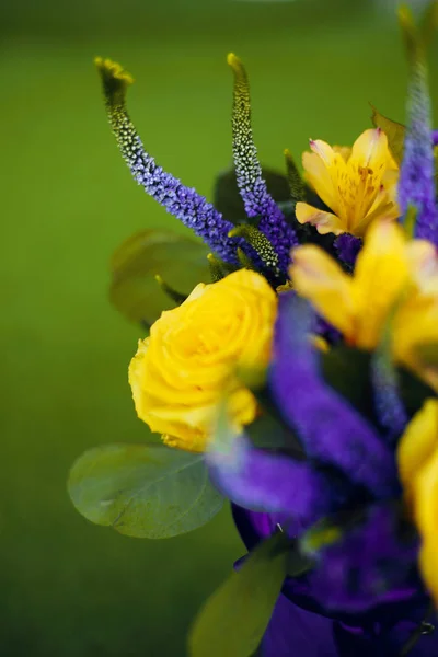 Bouquet de roses de fleur cadeau close up, Carte de souhaits viol jaune — Photo