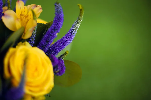 Růže kytice květin dárkových zavřít nahoru, blahopřání žluté viol — Stock fotografie