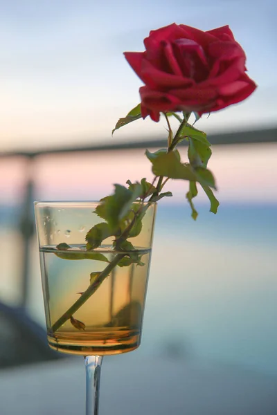 Rosa roja en vidrio sobre la puesta de sol bokeh sobre el mar azul . — Foto de Stock