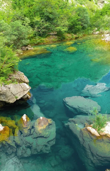 Mrtvica tranquillo fiume Canyon Montenegro Bellezza selvaggia. Natura e ambiente — Foto Stock